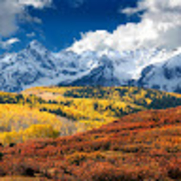 Meet your Posher, Elizabeth - Picture 1 of 1